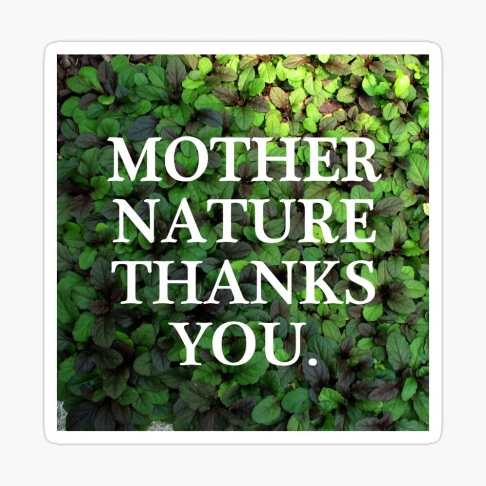 Thank you for shopping sustainably!